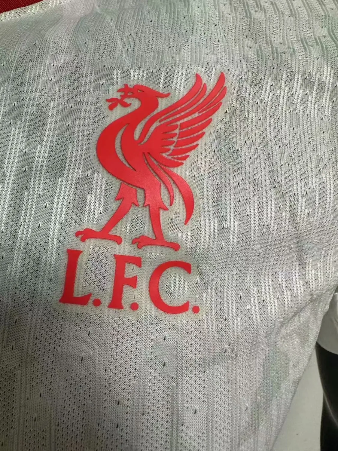 Liverpool 2024/25 Third Jersey Tag 1 Liverpool 2024/25 Third Jersey Tag 1