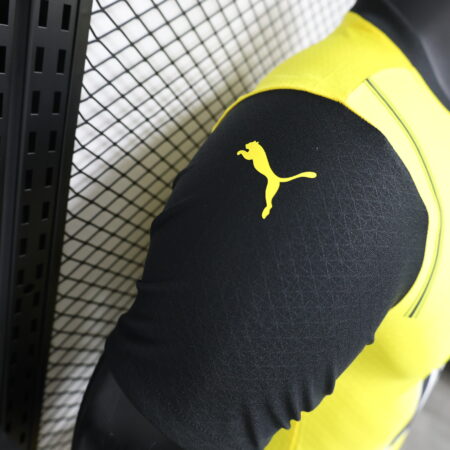 Borussia Dortmund 2024/25 Home Jersey