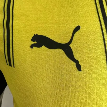 Borussia Dortmund 2024/25 Home Jersey Tag 4