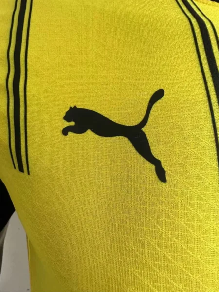 Borussia Dortmund 2024/25 Home Jersey Tag 4