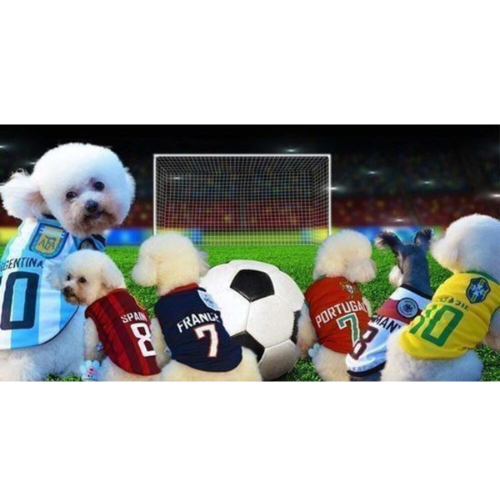 Nations Soccer Jersey Coat for Pet Dogs 1 Nations Soccer Jersey Coat for Pet Dogs 1
