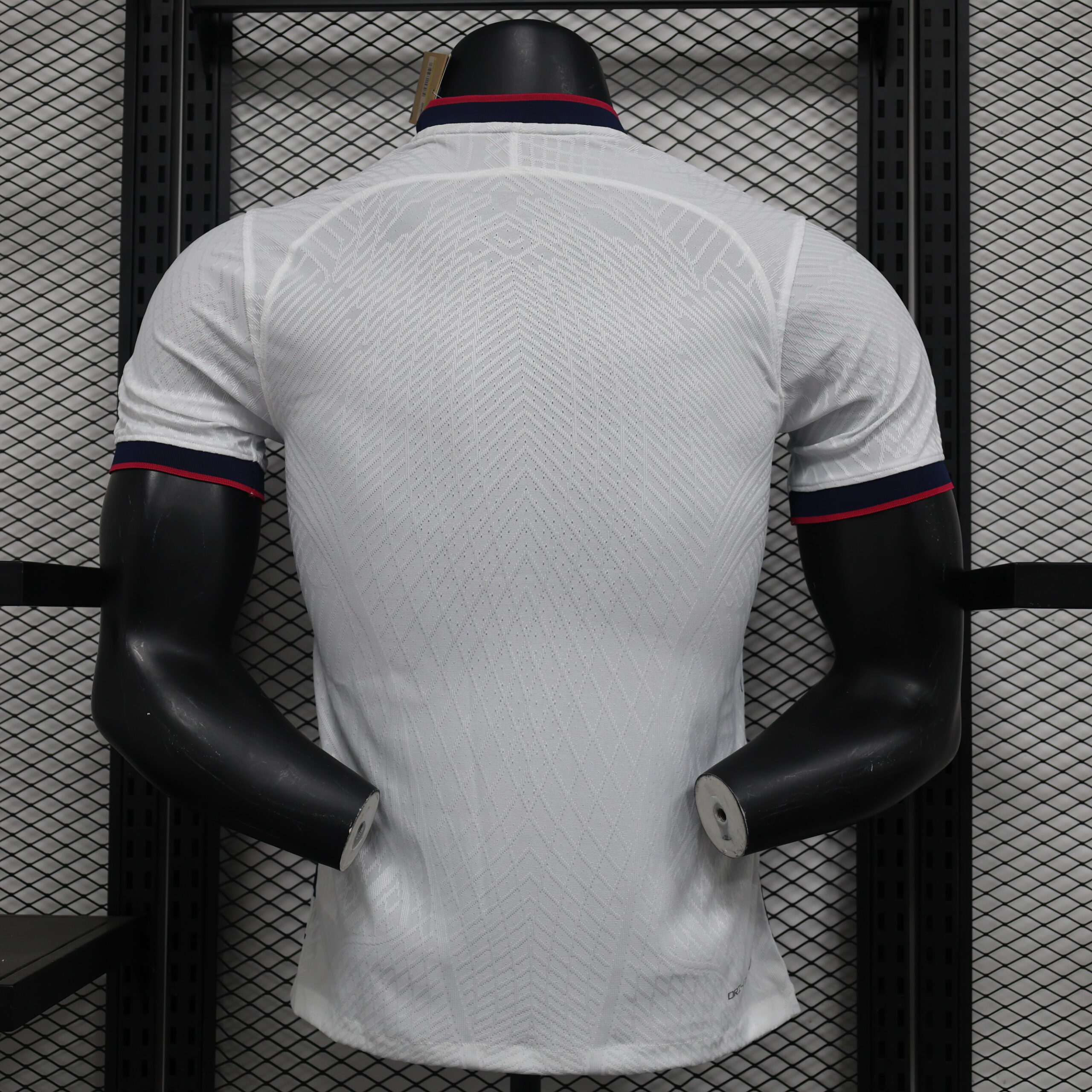 Tottenham Hotspur 2024/25 Jordan Special Edition Jersey Back