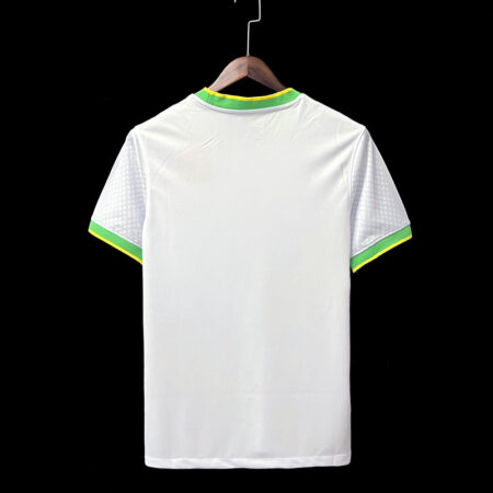 Brazil 2023/24 Canarinho Pigeons Special Edition Jersey